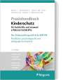 : Praxishandbuch Kinderschutz für Fachkräfte und insoweit erfahrene Fachkräfte, Buch