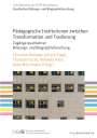 : Pädagogische Institutionen zwischen Transformation und Tradierung, Buch