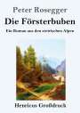 Peter Rosegger: Die Försterbuben (Großdruck), Buch