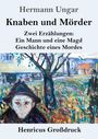 Hermann Ungar: Knaben und Mörder (Großdruck), Buch