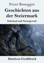 "Peter Rosegger: Geschichten aus der Steiermark - Schicksal und Naturgewalt. Henricus Großdruck."  
Skulptur im Felsen, Hütte.