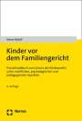 Rainer Balloff: Kinder vor dem Familiengericht, Buch