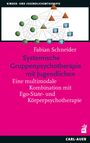 Fabian Schneider: Systemische Gruppenpsychotherapie mit Jugendlichen, Buch