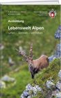 Annina Rosenkranz: Lebenswelt Alpen, Buch