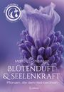 Maria L. Schasteen: Blütenduft und Seelenkraft - Das Kartenset zur Duftmedizin, Buch