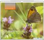 : Lebensraum Bodensee - Schmetterlinge 2025, KAL