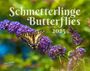 : Schmetterlinge 2025 Großformat-Kalender 58 x 45,5 cm, KAL