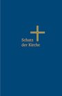 Ulrich Filler: Schatz der Kirche, Buch