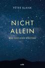 "Nicht allein: Wege geistlicher Begleitung" von Peter Blank. Ein sternenbedeckter Nachthimmel über einer Bergsilhouette.