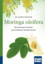 Günter Harnisch: Moringa oleifera. Kompakt-Ratgeber, Buch