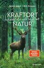 „Kraftort Natur: Verbundenheit mit der wilden Seele der Welt.“ Ein Hirsch steht majestätisch im grünen Wald.