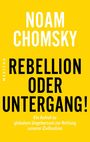 Noam Chomsky: Rebellion oder Untergang!, Buch