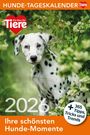 : Hunde Tageskalender 2026, KAL