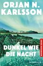 Text: ØRJAN N. KARLSSON, THRILLER, DUNKEL WIE DIE NACHT, NORWEGEN-KRIMI. Landschaft mit Polarlichtern über Bergen und Meer.