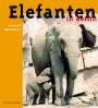 Bernhard Blaszkiewitz: Elefanten in Berlin, Buch