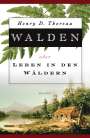 Henry D. Thoreau: Walden, Buch