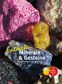 Marlene Dreizler: Entdecke Minerale und Gesteine, Buch