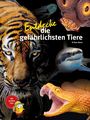 Kriton Kunz: Entdecke die gefährlichsten Tiere, Buch