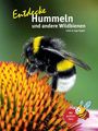 "Entdecke Hummeln und andere Wildbienen" von Irmin & Inge Vogler; Illustration: Hummel auf Blüte, Biene mit "Mit großem Quiz".