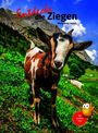 Entdecke die Ziegen. Maria Anna Leenen. Eine Ziege auf einer Wiese, dahinter Berge und Himmel, mit einem Quiz-Hinweis.
