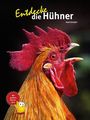 "Entdecke die Hühner. Axel Gutjahr. Mit großem Hühner-Quiz" Ein Hahn mit rotem Kamm und gelbem Gefieder.