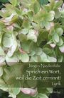 Jürgen Niedenführ: Sprich ein Wort, weil die Zeit zerrinnt!, Buch