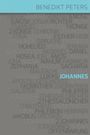 Benedikt Peters: Kommentar zum Johannes-Evangelium, Buch