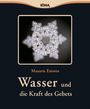 Masaru Emoto: Wasser und die Kraft des Gebets, Buch
