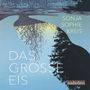 Text: "SONJA SOPHIE KREIS", "DAS GROSSE EIS", "audiolino". Illustration: Winterlandschaft mit Fluss und reflektierten Bäumen.