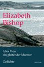 Elizabeth Bishop: Alles Meer ein gleitender Marmor, Buch