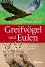 Felix Heintzenberg: Greifvögel und Eulen, Buch