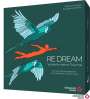 Rebecca Prediger: Re:Dream, Buch