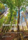 : Baum und Wald 2026, KAL