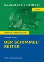 Theodor Storm: Der Schimmelreiter, Buch