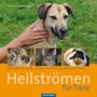 Tina von der Brüggen: Heilströmen für Tiere, Buch