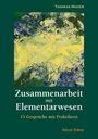 Thomas Mayer: Zusammenarbeit mit Elementarwesen, Buch