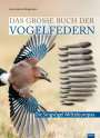 Hans-Heiner Bergmann: Das große Buch der Vogelfedern, Buch