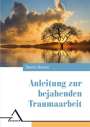 Dennis Danner: Anleitung zur bejahenden Traumaarbeit, Buch