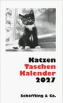 Julia Bachstein: Katzen Taschenkalender 2027, KAL