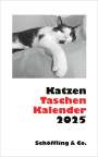 Julia Bachstein: Katzen Taschenkalender 2025, KAL
