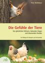 Peter Wohlleben: Wohlleben, P: Gefühle der Tiere, Buch