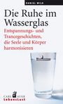 Daniel Wilk: Die Ruhe im Wasserglas, Buch