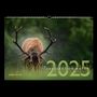: Faszination Natur Kalender 2025, KAL