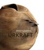 Frank Matthias Kammel: Ernst Gamperl, Buch