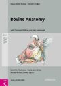 Klaus-Dieter Budras: Bovine Anatomy, Buch