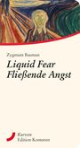 Zygmunt Bauman: Liquid Fear - Fließende Angst, Buch