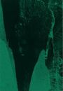 Osei Bonsu: Kudzanai-Violet Hwami, Buch