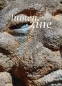 Der Text "lumen zine", "Heidi Specker", "Heft 15" überlagert eine grobe Steinstruktur mit blauer Farbe.
