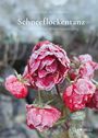 "Schneeflockentanz: Ein literarischer Winterspaziergang" von Gudrun Winklhofer. Rote Rosen mit Frost bedeckt.
