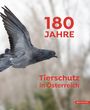 Text: „180 Jahre Tierschutz in Österreich“. Ein fliegendes Taubenfoto mit unscharfem Hintergrund.